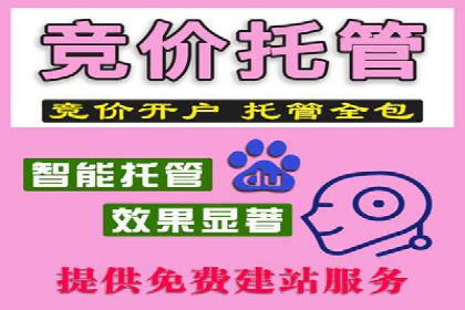视频信息流营销：从案例看效果提升的秘诀