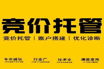 初创企业如何通过网站sem托管快速崛起